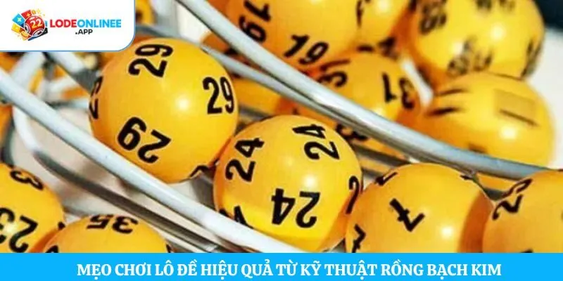 Mẹo chơi lô đề hiệu quả từ kỹ thuật rồng bạch kim