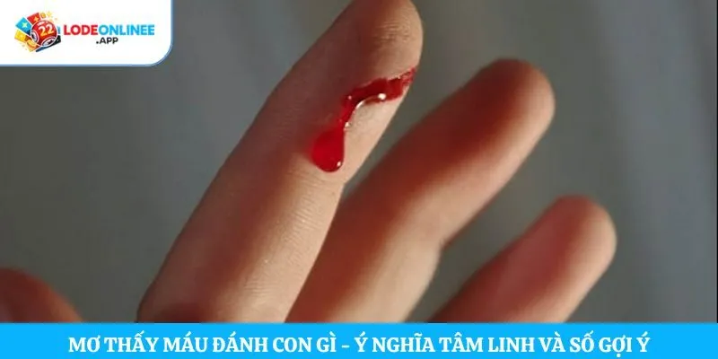 Mơ Thấy Máu Đánh Con Gì – Ý Nghĩa Tâm Linh Và Số Gợi Ý