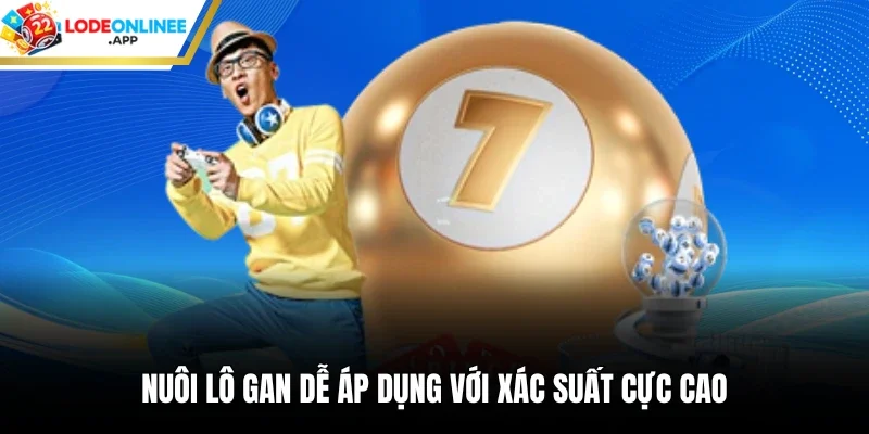 Nuôi lô gan dễ áp dụng với xác suất cực cao